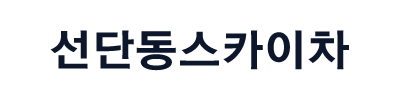 선단동스카이차 로고